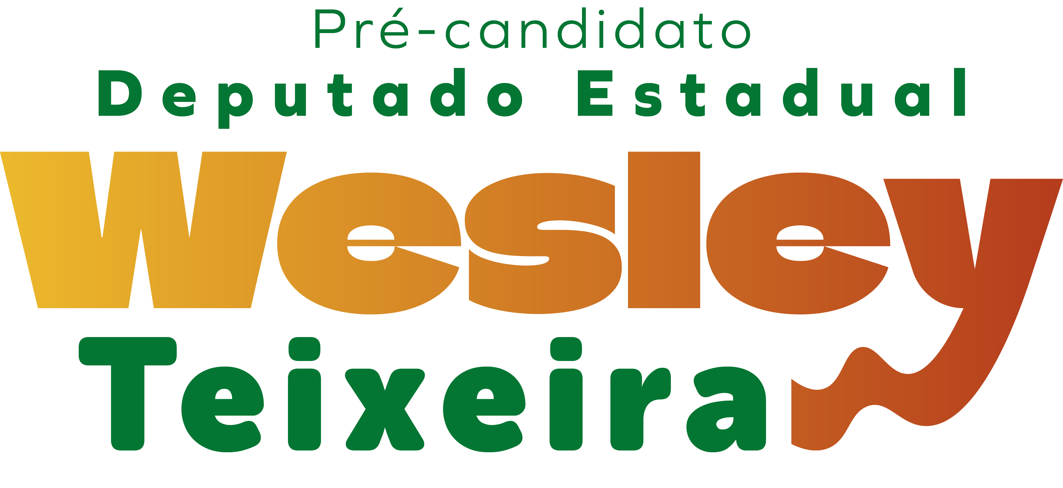 Wesley Teixeira